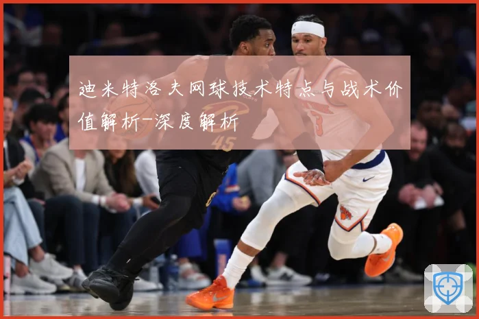 迪米特洛夫网球技术特点与战术价值解析-深度解析