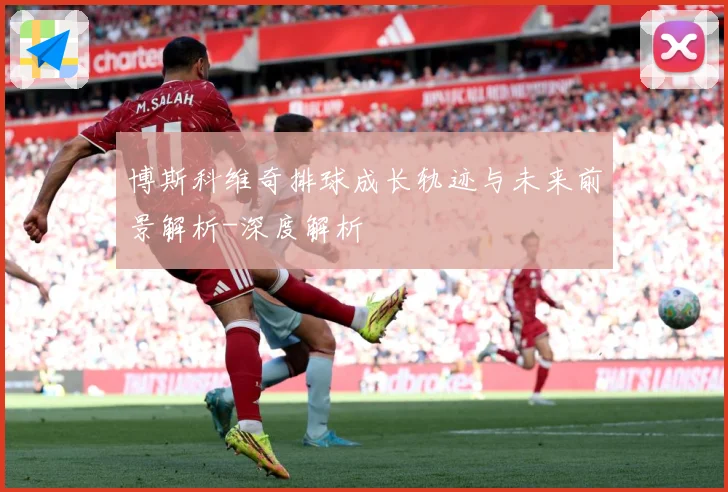 博斯科维奇排球成长轨迹与未来前景解析-深度解析